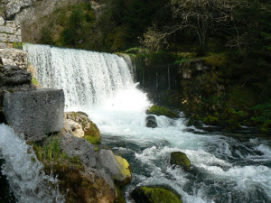 montagnes-du-jura-source-du-doubs-vue-de-face